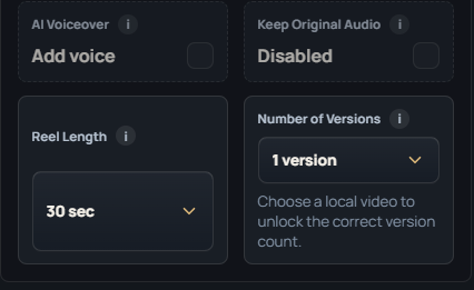 ReelSpark voiceover and versions options